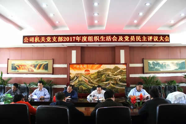 隴運集團(tuán)公司機(jī)關(guān)黨支部召開專題組織生活會及黨員民主評議大會