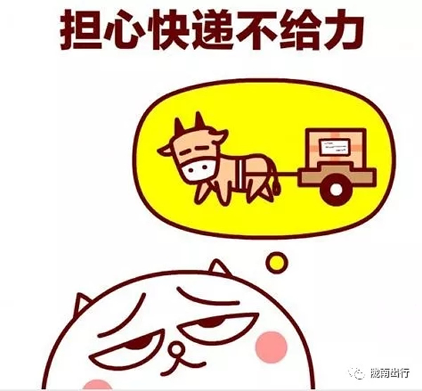 隴運集團武都汽車站、成縣汽車站、康縣汽車站快運