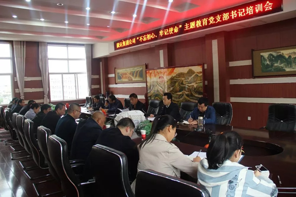 隴運集團(tuán)公司召開“不忘初心、牢記使命”主題教育黨支部書記培訓(xùn)會