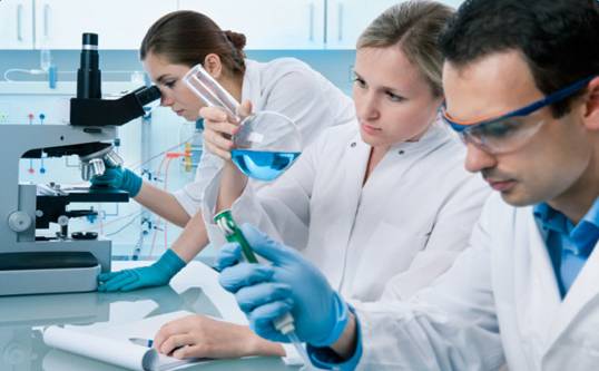 園區孵化企業丨湖南健基生物技術引領健康與科技咨詢融合新方向